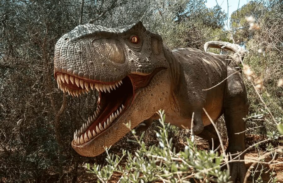 Mallorca: Dinosaurland Park, Hams Caves & Porto Cristo Tour - Who Would Enjoy This Tour?