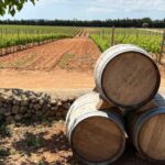 Mallorca: Discover the secret treasures of the local wine - Who Should Consider This Tour?