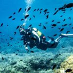 Mallorca: Diving without a license with an instructor from a boat - Cap de Formentor - Why This Tour Works