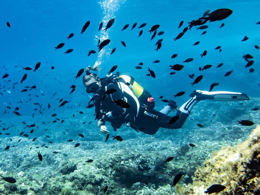 Mallorca: Diving without a license with an instructor from a boat - Cap de Formentor - Why This Tour Works