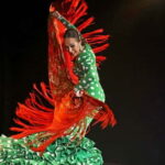 Mallorca: Flamenco Show at Tablao Flamenco Alma with Paella - Final Thoughts