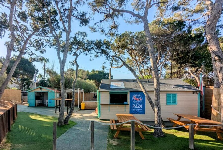 Mallorca: Guided Scuba Diving - Who Should Consider This Experience?