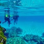 Mallorca: Highlights wild coast tour - The Experience in Detail