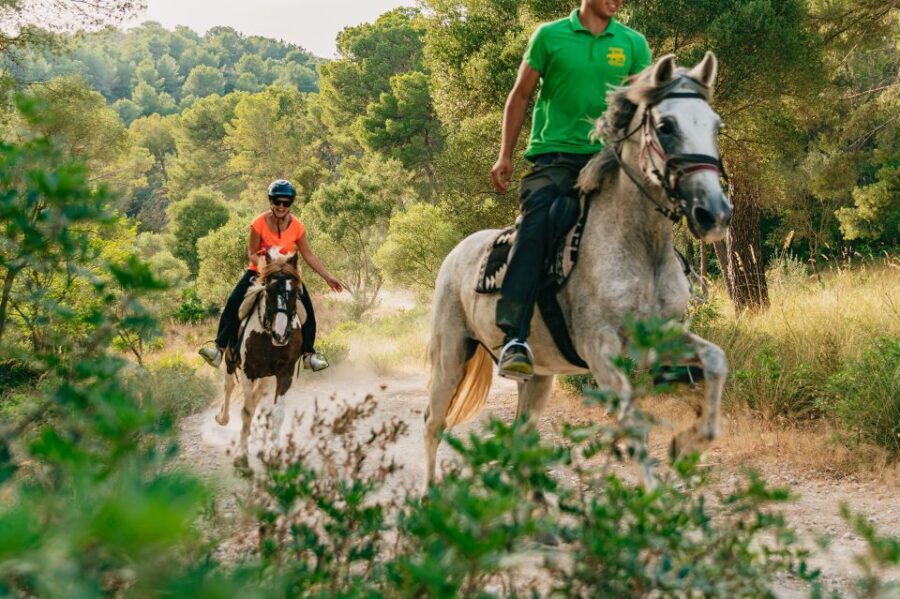Mallorca: Horseback Riding Experience with Food Options - What Makes This Experience Stand Out?