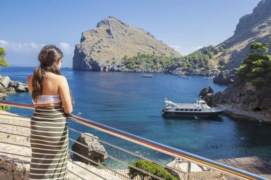 Mallorca Island Tour with Boat, Train, Tram and Bus - What Makes This Tour Stand Out?