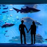 Mallorca: Palma Aquarium Entry Ticket w/ Optional 3D Cinema - Practical Tips for Your Visit