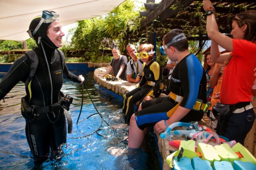 Mallorca: Palma Aquarium Tickets with Transfer - The Real Experiences of Visitors