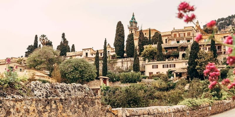 Mallorca: Puerto de Sóller and Valldemossa Morning Trip - Practical Details and What to Expect