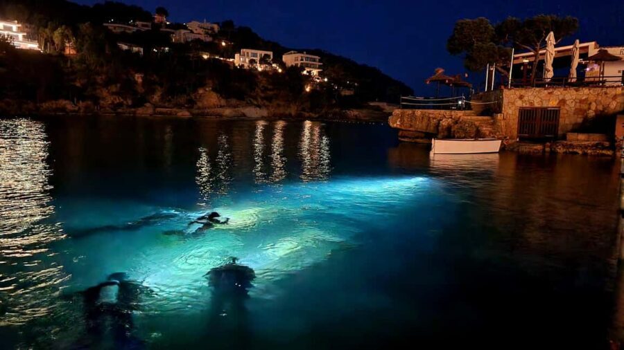 Mallorca: Scuba Diving for Beginners - The Experience Itself: What You Can Expect