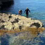 Mallorca: Speleo-Coasteering Tour along the Coast of Alcudia - Who Would Love This Experience?
