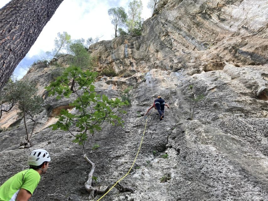 Mallorca: Sport Climbing Day or Course - Value and Pricing