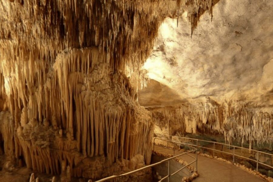 Mallorca: Ticket for Caves of Drach with Pickup Service - The Practical Side: Transport, Price, and Duration