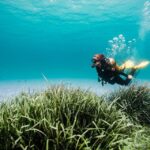 Mallorca: Try Scuba Diving by Boat - Itinerary Breakdown: What to Expect