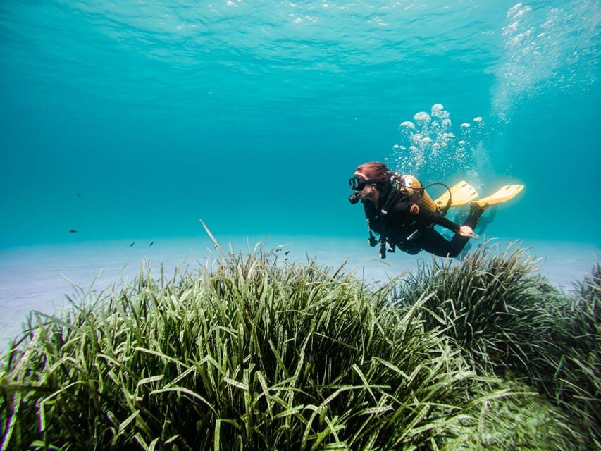 Mallorca: Try Scuba Diving by Boat - Itinerary Breakdown: What to Expect