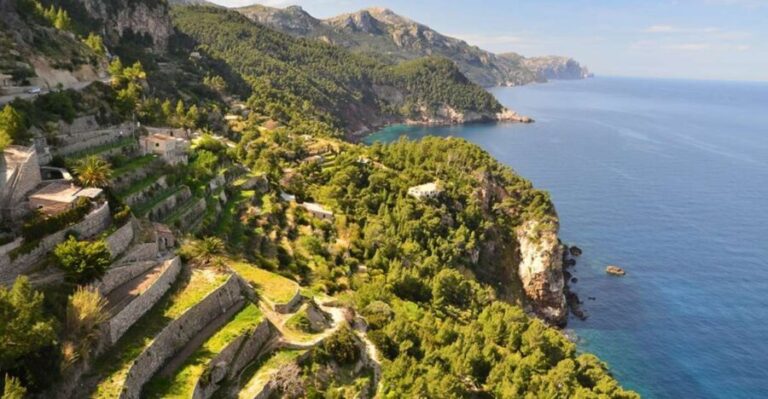 Mallorca: Valldemossa & Soller Tour - FAQ