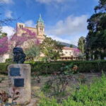 Mallorca: West Coast & Orange Valley Minbustour - Who Will Love This Tour?