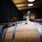 Mallorcas Emblematic Wineries Small Group Tour, two wineries - What to Expect During Your Day