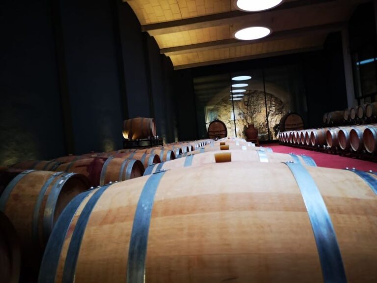 Mallorcas Emblematic Wineries Small Group Tour, two wineries - What to Expect During Your Day