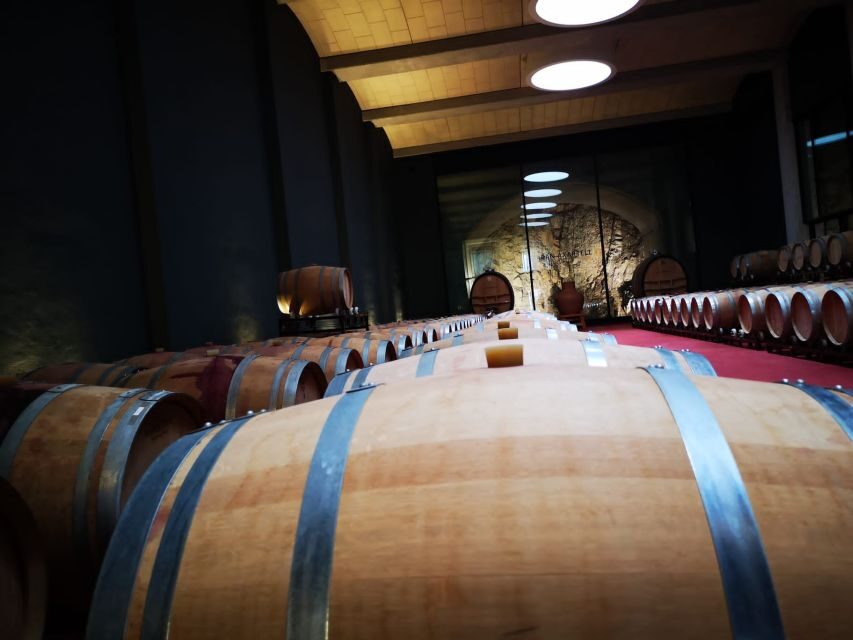 Mallorcas Emblematic Wineries Small Group Tour, two wineries - What to Expect During Your Day