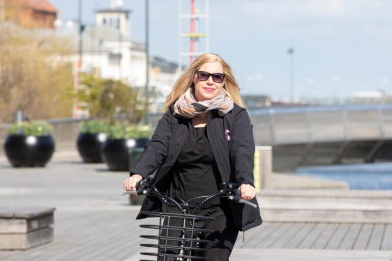 Malmö: Sightseeing and Landmarks tour by bike - Detailed Breakdown of the Itinerary