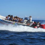 Malta: Blue Lagoon and Comino Caves Speedboat Tour - Final Thoughts: Who Is This Tour For?