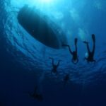 Malta: Boat Dive Trip for Certified Divers - Pricing & Value