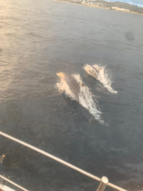 Malta Gozo Comino: Full Day Sailing Charter - What Makes This Tour Stand Out?