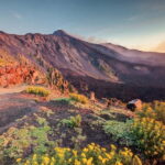 Malta: Mount Etna and Catania Guided Day Trip by Catamaran - Who Is This Tour Best For?