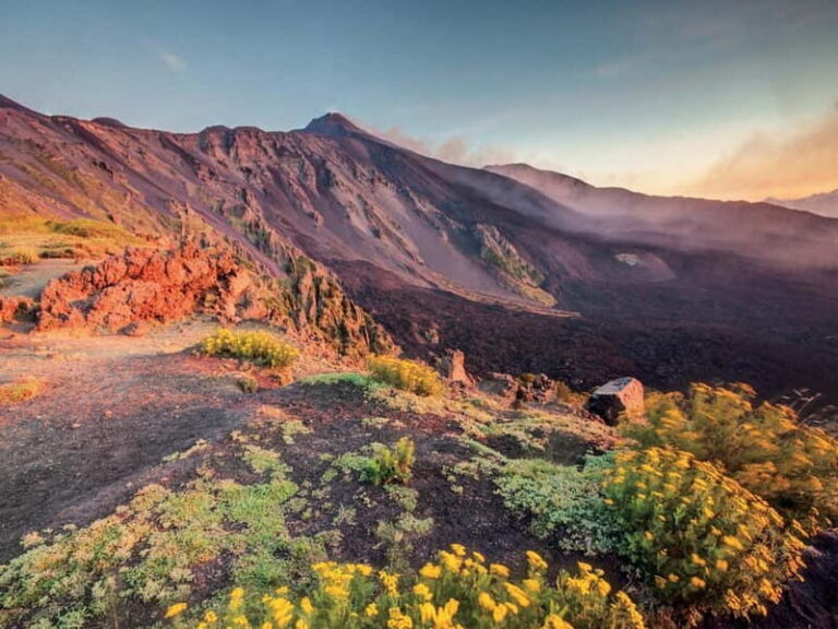 Malta: Mount Etna and Catania Guided Day Trip by Catamaran - Who Is This Tour Best For?