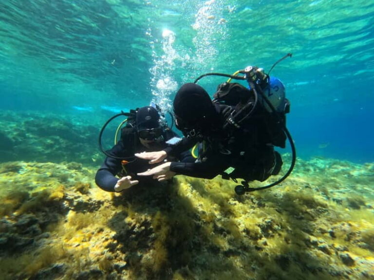 Malta: St. Paul's Bay 1 Day Scuba Diving Course - Analyzing the Value