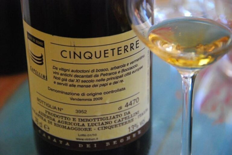 Manarola: Cinque Terre Wine Tasting - Why This Tour Delivers Value