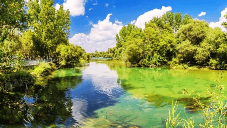 Manavgat River Cruise With Waterfall & Bazaar Tour - Authentic Experiences and Potential Pitfalls