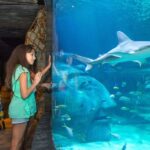 Manchester: SEA LIFE Entrance Ticket - Visiting Practicalities