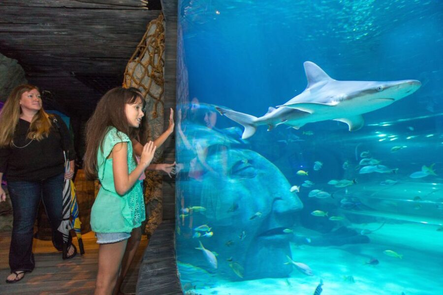 Manchester: SEA LIFE Entrance Ticket - Visiting Practicalities