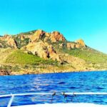 Mandelieu: Visit and aperitif by private boat - A Closer Look at the Itinerary