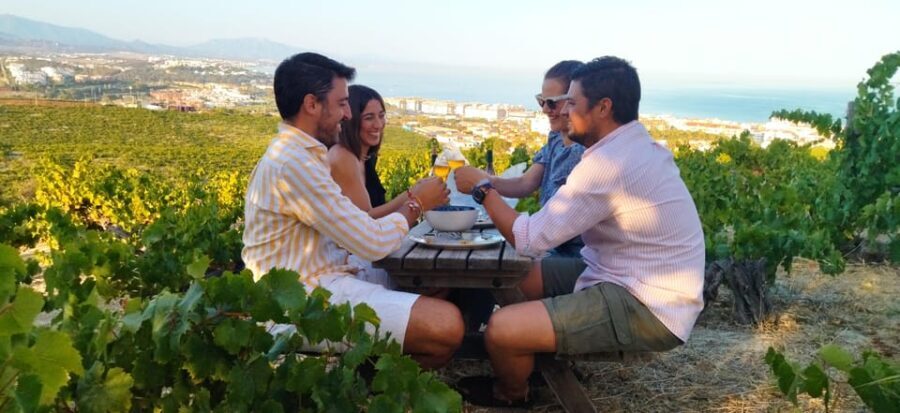 Manilva: Nilva Vineyard, Wine Tasting & Tapas Guided Tour - A Deep Dive Into the Experience