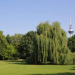 Mannheim, guided park tour: Luisenpark - The Sum Up