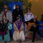 Marbella: Flamenco Show with a Drink - Practical Details and Tips