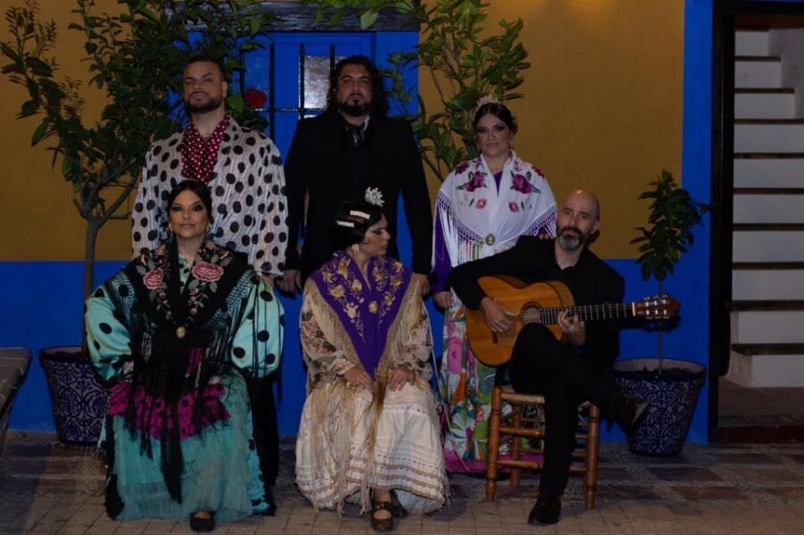 Marbella: Flamenco Show with a Drink - Practical Details and Tips
