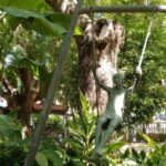 Marbella: Private Tour of the Historic Center - What Travelers Say: Insights From Past Visitors