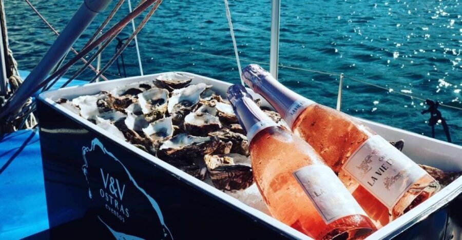 Marbella: Puerto Banús Private Sailing Cruise with Drinks - The Activities: Relaxation and Adventure at Sea