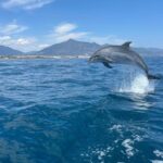 Marbella: Sailing & Dolphin Watching with Snacks and Drinks - What Makes This Tour Stand Out