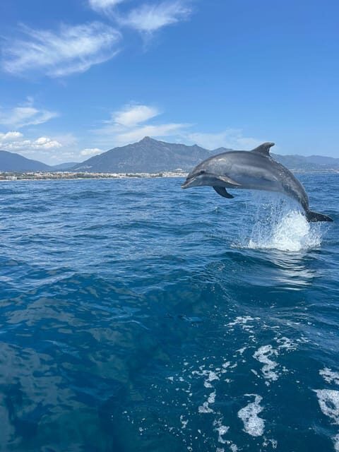 Marbella: Sailing & Dolphin Watching with Snacks and Drinks - What Makes This Tour Stand Out