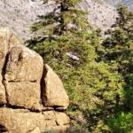 Marbella: Sierra de las Nieves National Park Hiking Day Trip - The Sum Up