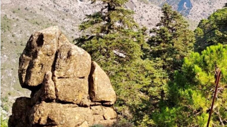 Marbella: Sierra de las Nieves National Park Hiking Day Trip - The Sum Up