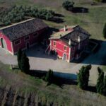 Marche: Tasting and Tour of Local Wines and Tastes at D'Erasmo Winery - Practical Info and Tips