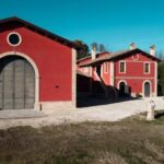 Marche: unique visit and tasting at D'Erasmo Winery among signature wines - An In-Depth Look at the DErasmo Winery Tour