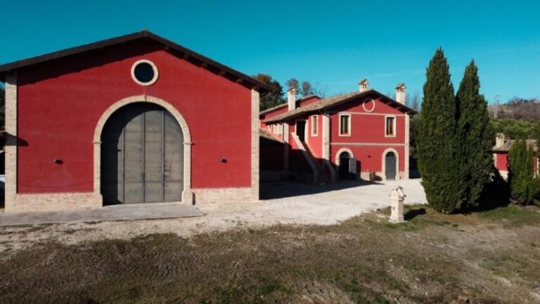 Marche: unique visit and tasting at D'Erasmo Winery among signature wines - An In-Depth Look at the DErasmo Winery Tour