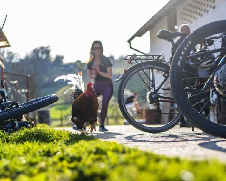 Marija Bistrica: To Gornja Stubica by Bicycle - Final Thoughts: Who Will Love This Tour?