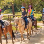 Marmaris: Horse Riding & Safari with Hotel Transfer - Who Is This Tour Best For?